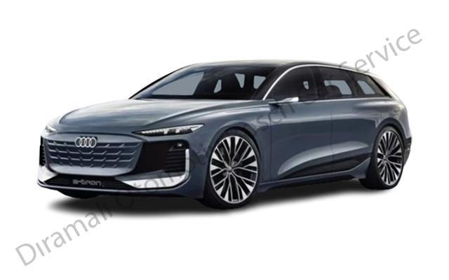 Audi Özel Servis
