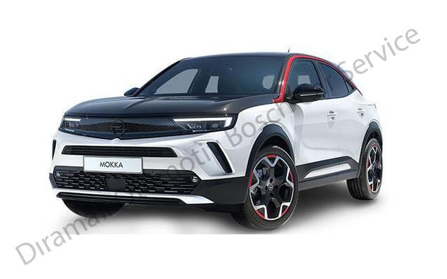 Opel Özel Servis